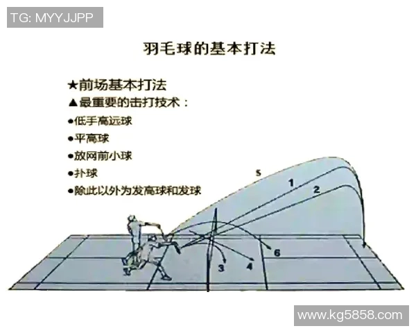 武汉羽毛球队整体压制战术解析与实战应用探讨 武汉羽毛球队整体压制战术解析与实战应用探讨
